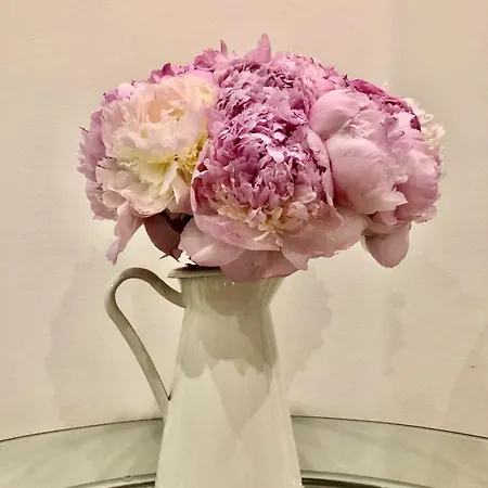 Joli 2 Pieces Jussieu 5 Apartamento *